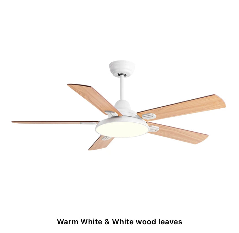 Modern Ventilation Fans Home, Hotel Remote Control Ceiling Fan Living Room, Dining Room, Bedroom Ceiling fan Light