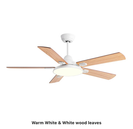 Modern Ventilation Fans Home, Hotel Remote Control Ceiling Fan Living Room, Dining Room, Bedroom Ceiling fan Light