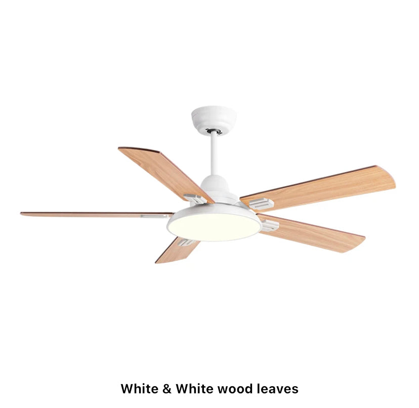 Modern Ventilation Fans Home, Hotel Remote Control Ceiling Fan Living Room, Dining Room, Bedroom Ceiling fan Light