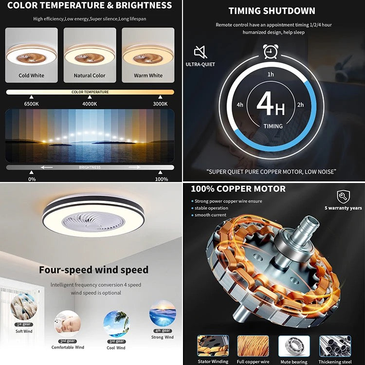 Modern Ventilation Fans DC Motor 6-Speeds Living Room Remote Control Ceiling Fan Light