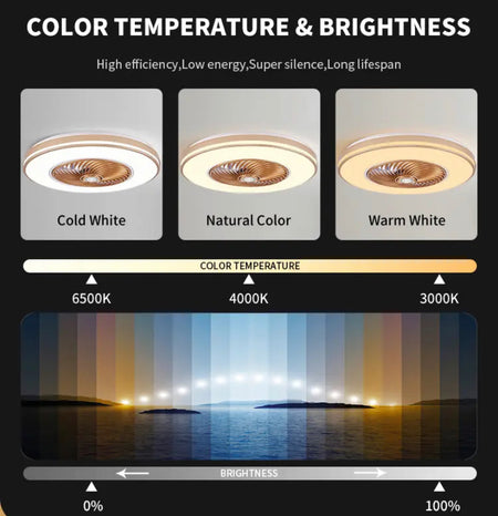 Modern Ventilation Fans DC Motor 6-Speeds Living Room Remote Control Ceiling Fan Light