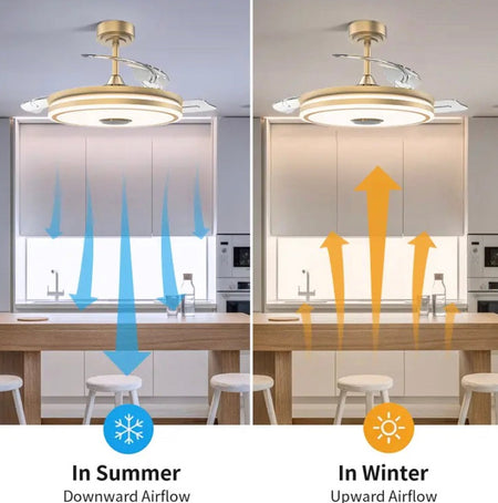 Modern Ventilation Fans Bedroom, Dining Room Bluetooth Speaker LED Ceiling Fan 42 Inch Remote Control