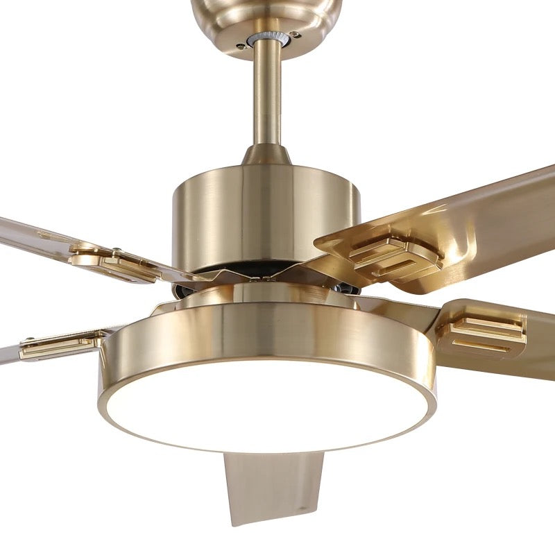 Modern Ventilation Fans Interior Living Room, Dining Room, Bedroom Ceiling Fan Remote Control AC Ceiling Fan Light