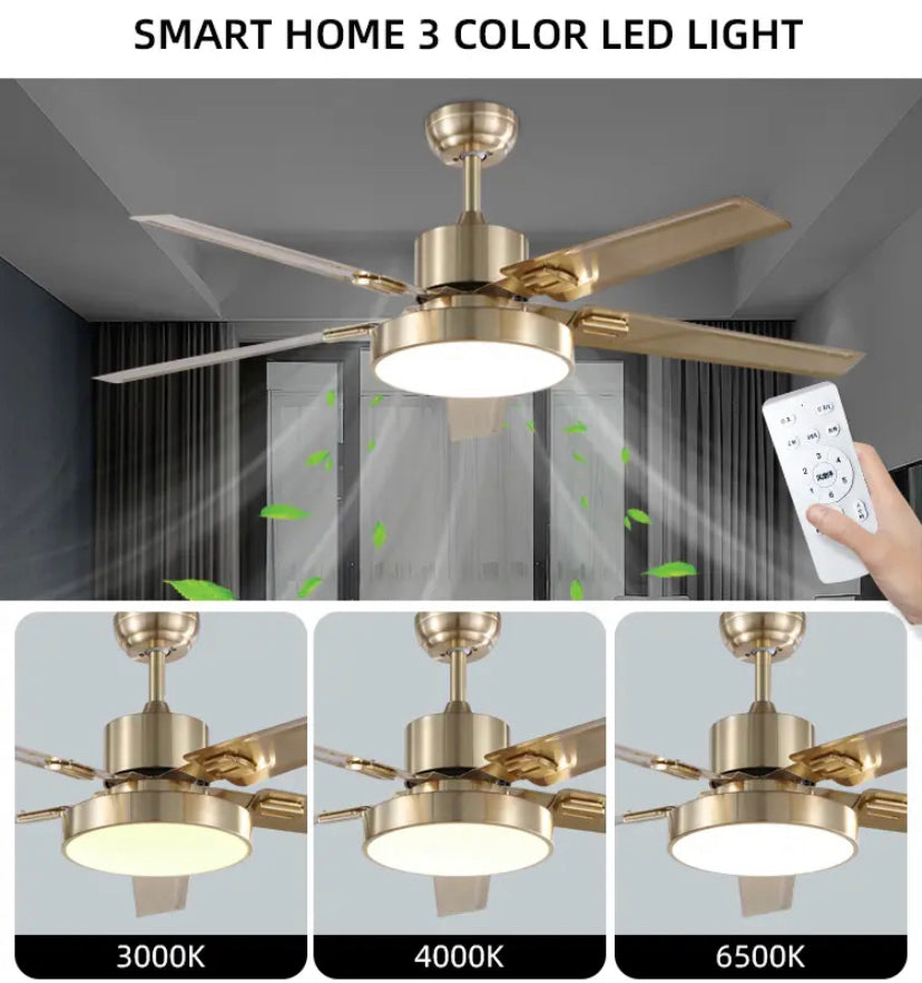 Modern Ventilation Fans Interior Living Room, Dining Room, Bedroom Ceiling Fan Remote Control AC Ceiling Fan Light