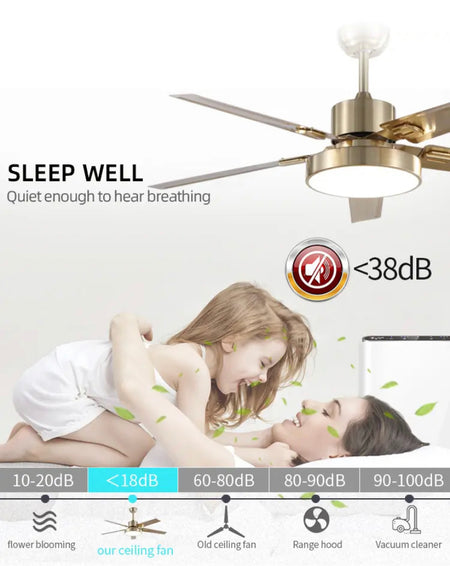 Modern Ventilation Fans Interior Living Room, Dining Room, Bedroom Ceiling Fan Remote Control AC Ceiling Fan Light