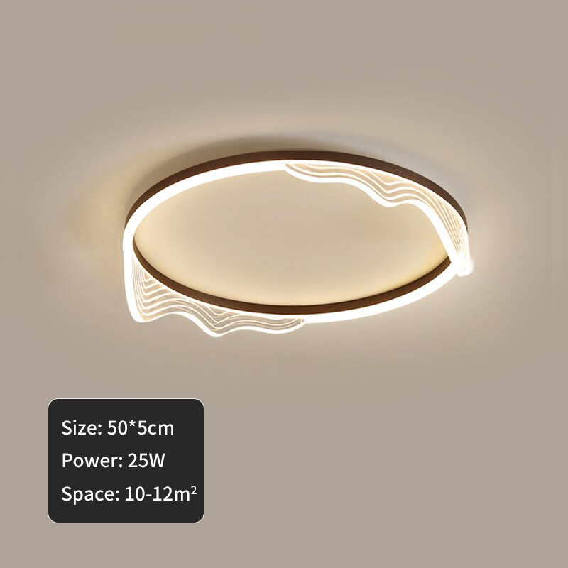 Ceiling Lights Led Golden Lustre Simplicity Acrylic Ceiling Lights